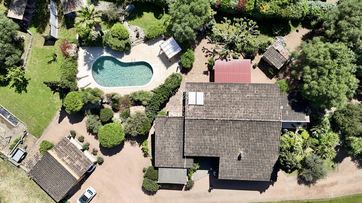 Maison à PORTO-VECCHIO