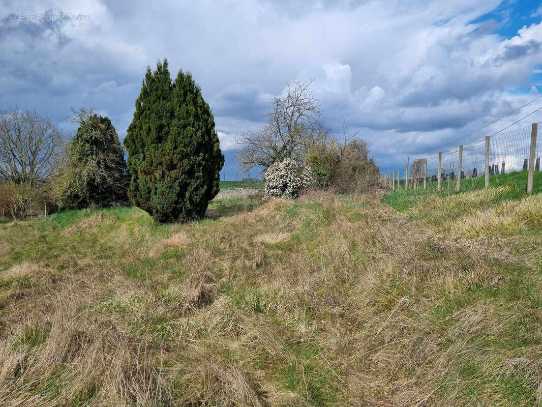 Maison à SAVIGNY-SUR-BRAYE