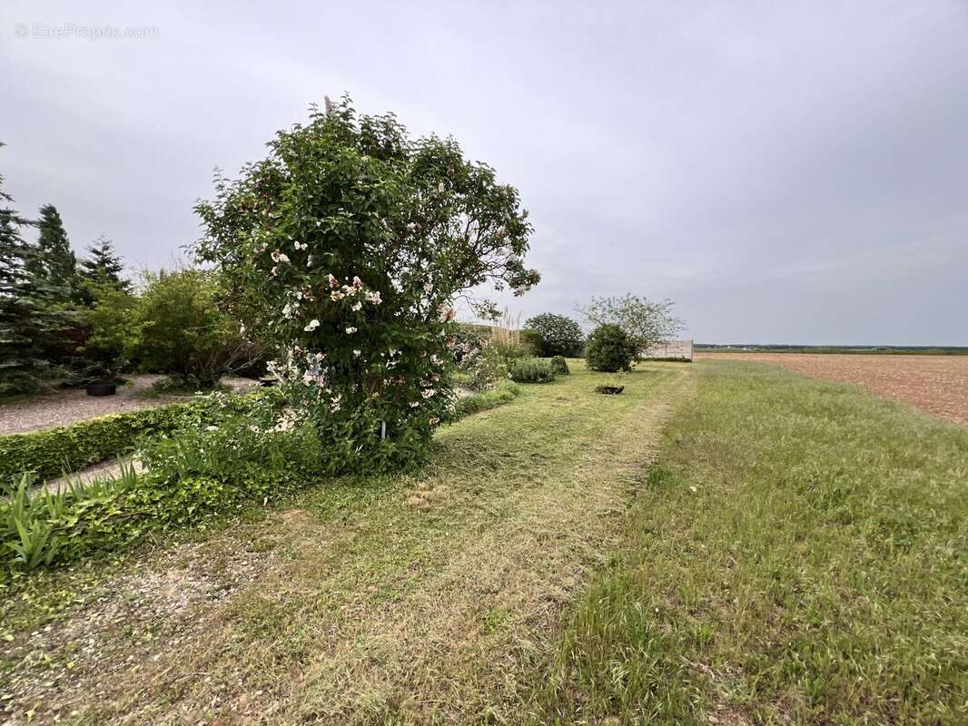 Maison à SAINT-DENIS-SUR-LOIRE