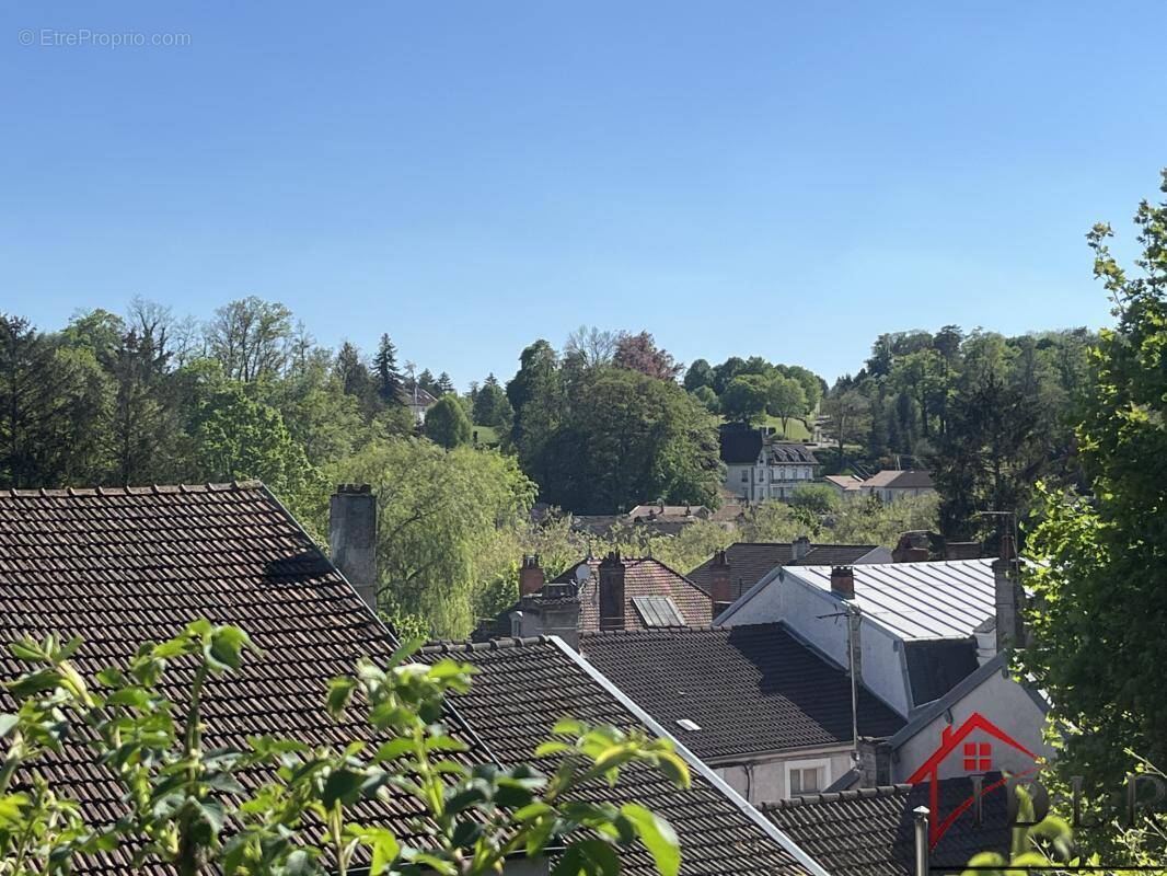 Maison à BOURBONNE-LES-BAINS