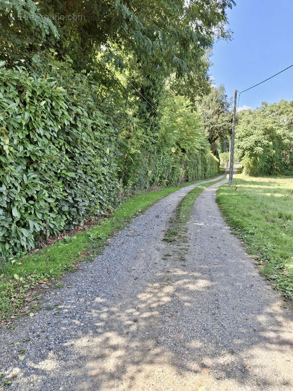 Maison à SILLE-LE-PHILIPPE