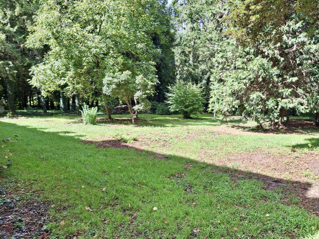 Maison à SILLE-LE-PHILIPPE