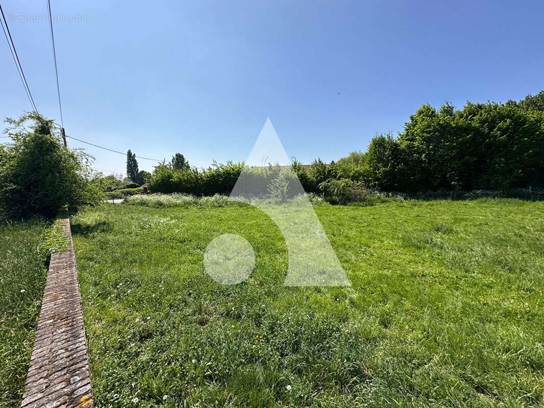 Terrain à MARCHIENNES