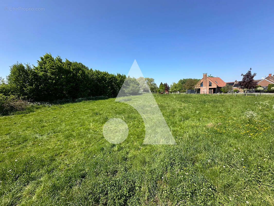 Terrain à MARCHIENNES