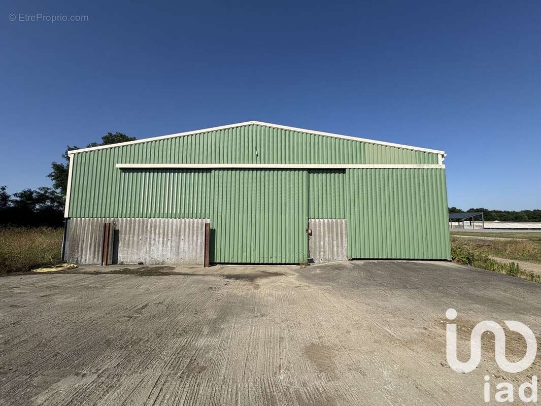 Photo 2 - Terrain à MONTAIGU