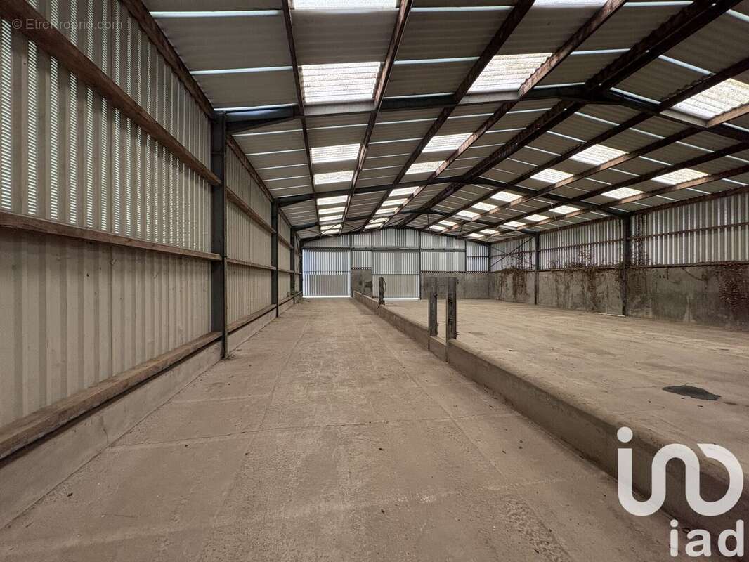 Photo 4 - Terrain à MONTAIGU