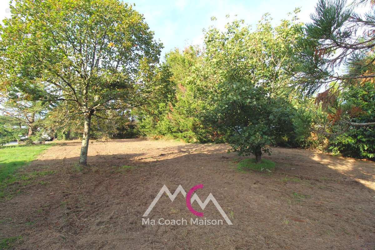 Terrain à SAINTE-ANNE-SUR-BRIVET