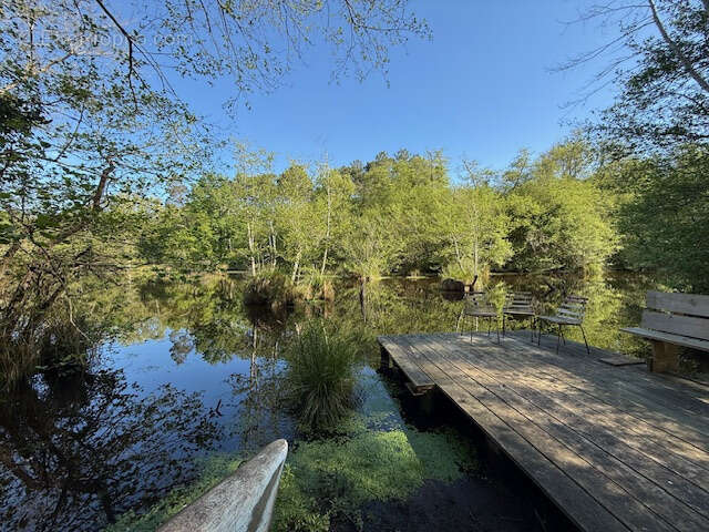 Maison à BELIN-BELIET