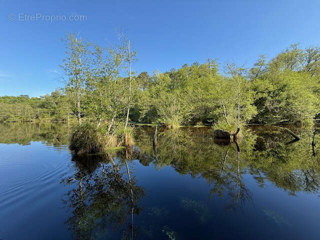 Maison à BELIN-BELIET