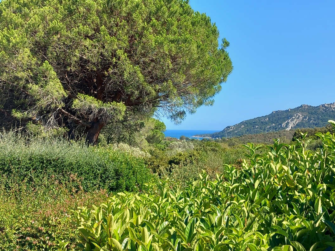Maison à PORTO-VECCHIO
