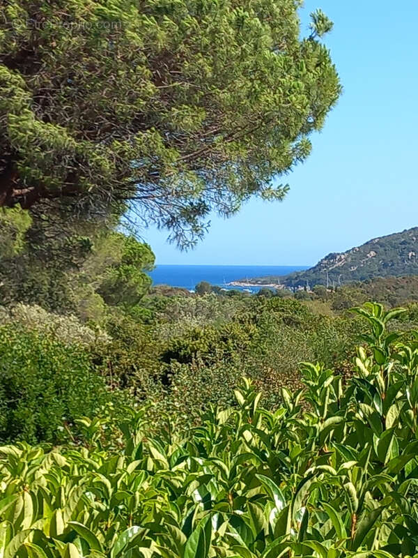 Maison à PORTO-VECCHIO