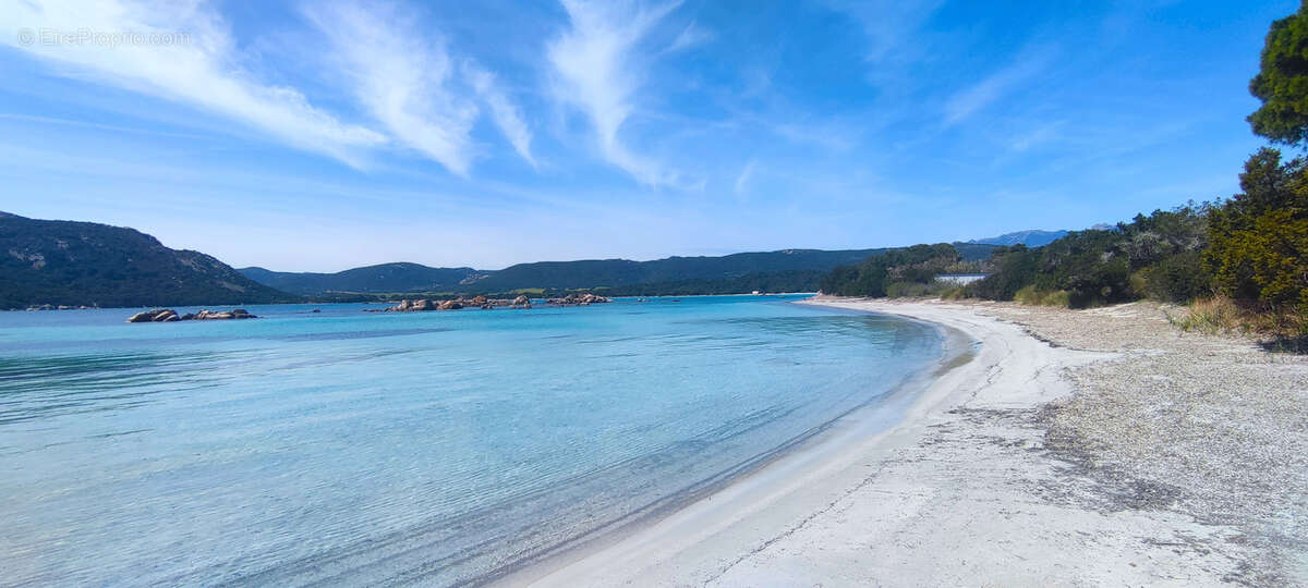 Maison à PORTO-VECCHIO