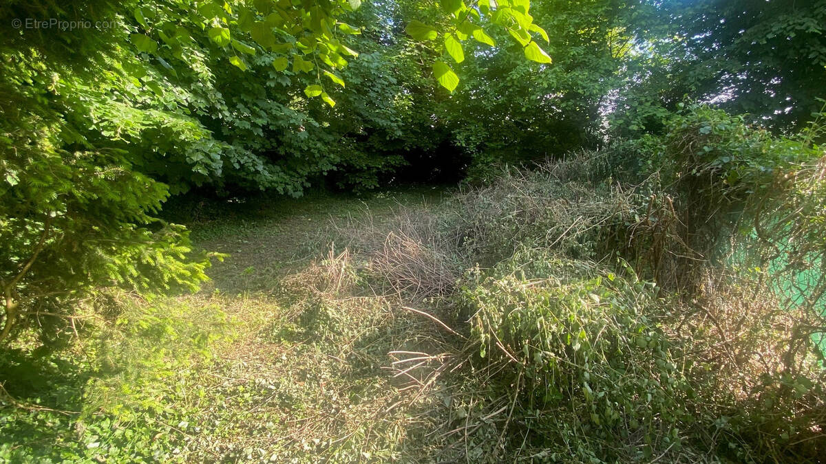 Terrain à VILLEMAREUIL