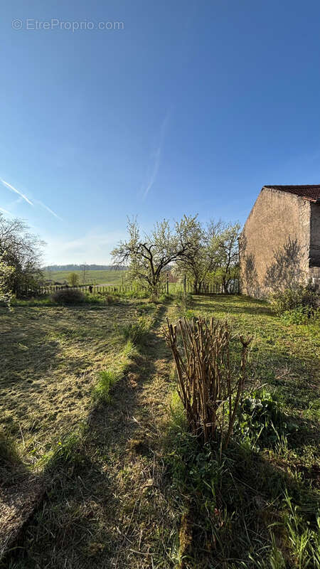 Maison à VIEVILLE-EN-HAYE