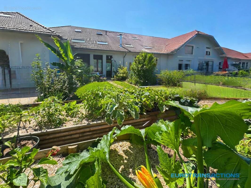 Appartement à LANGENSOULTZBACH