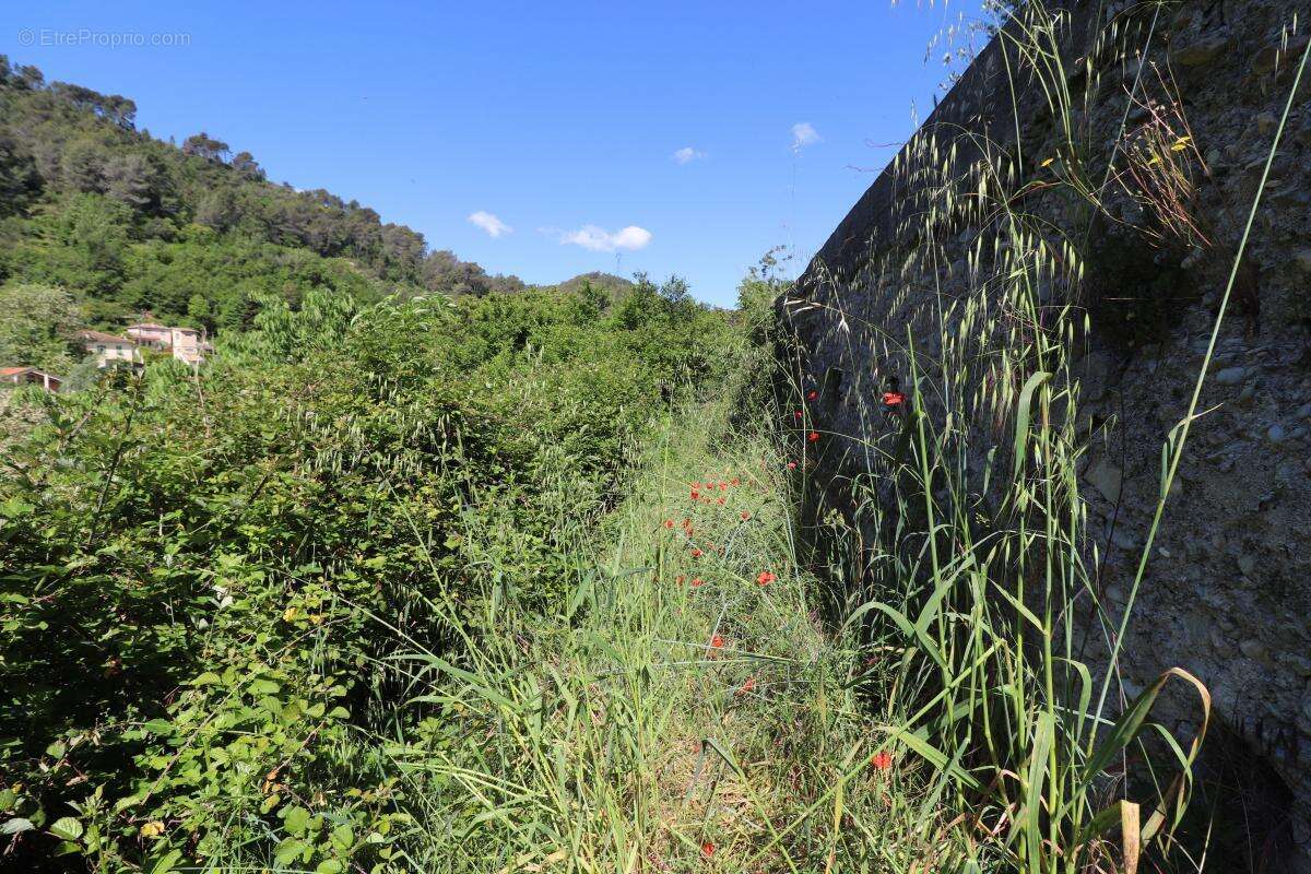 Terrain à L&#039;ESCARENE