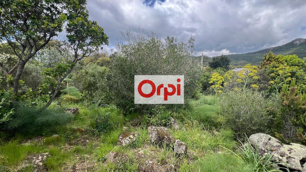 Terrain à PORTO-VECCHIO