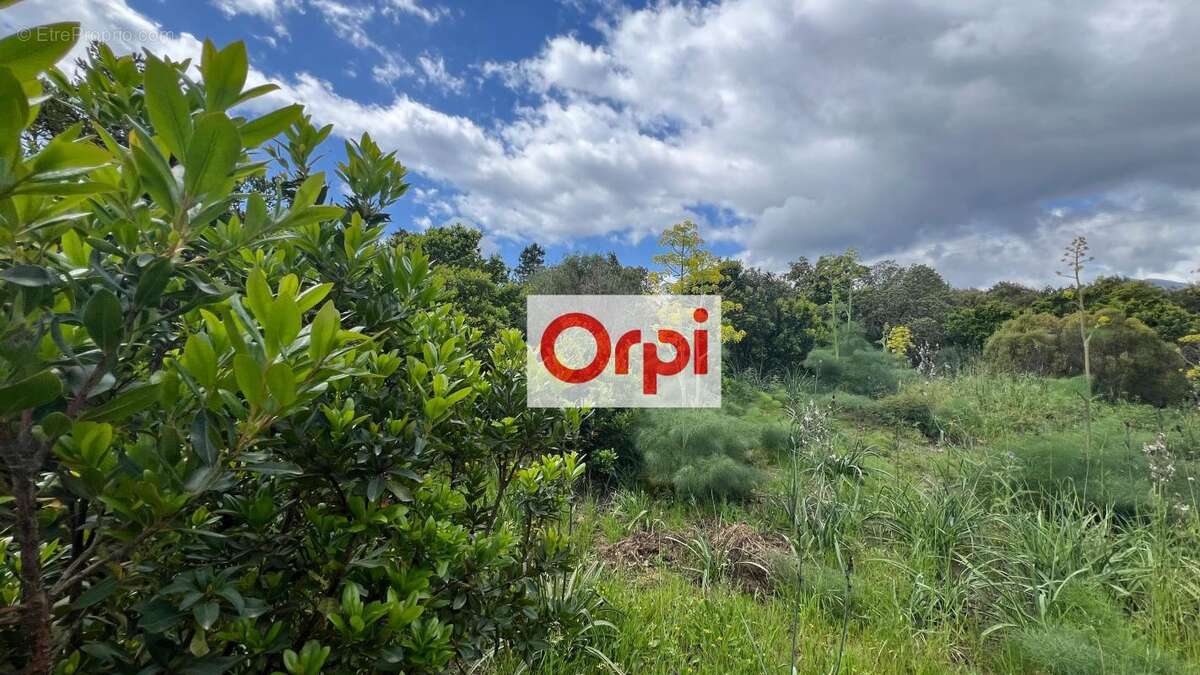 Terrain à PORTO-VECCHIO