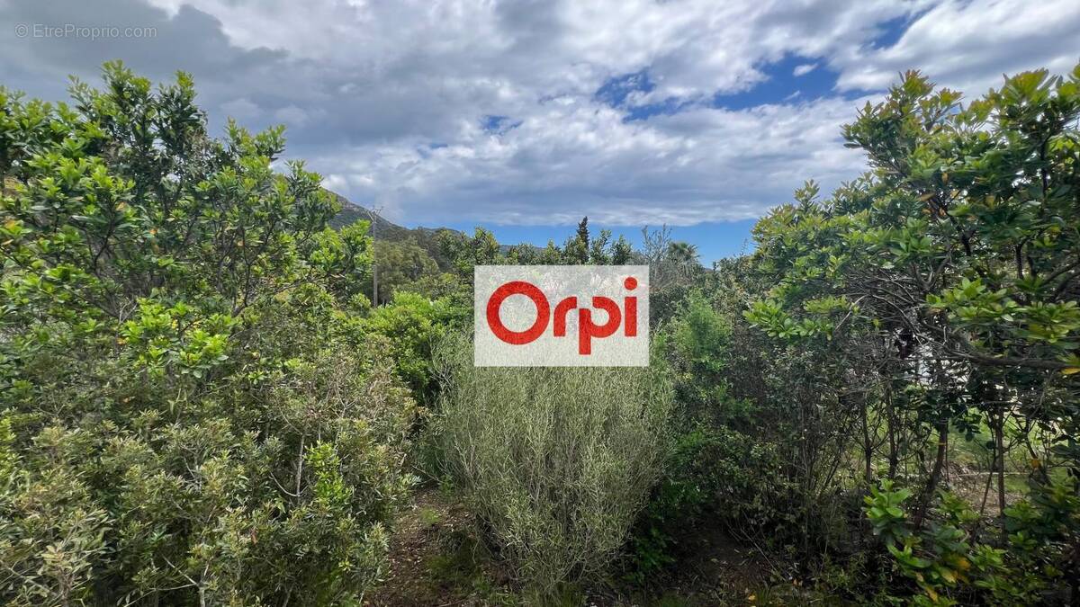 Terrain à PORTO-VECCHIO