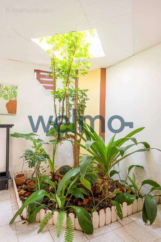 Maison à SCHOELCHER