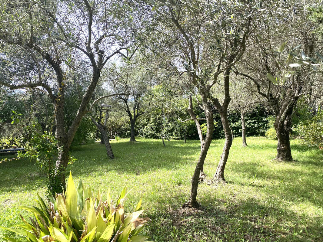 Maison à PEYMEINADE