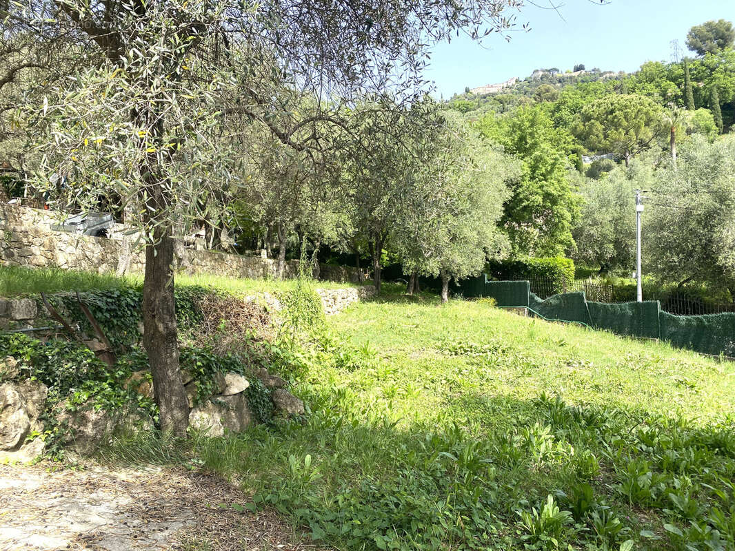 Maison à PEYMEINADE