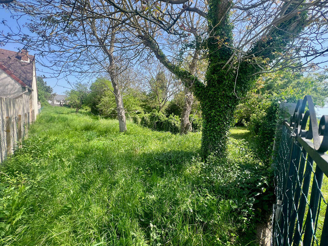 Terrain à MORET-SUR-LOING