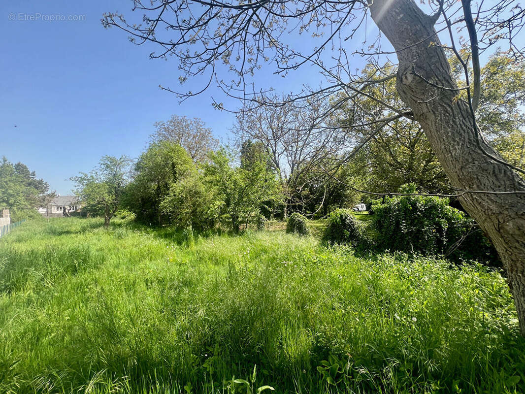 Terrain à MORET-SUR-LOING