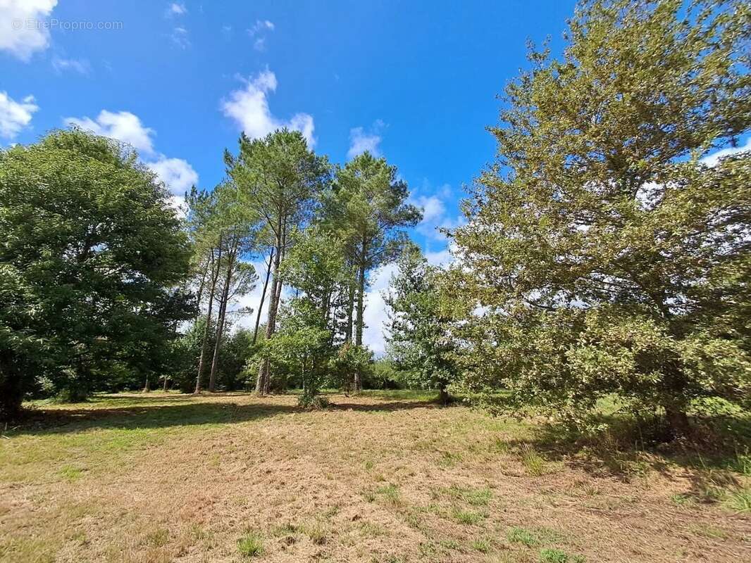 Maison à SAINT-PAUL-LES-DAX