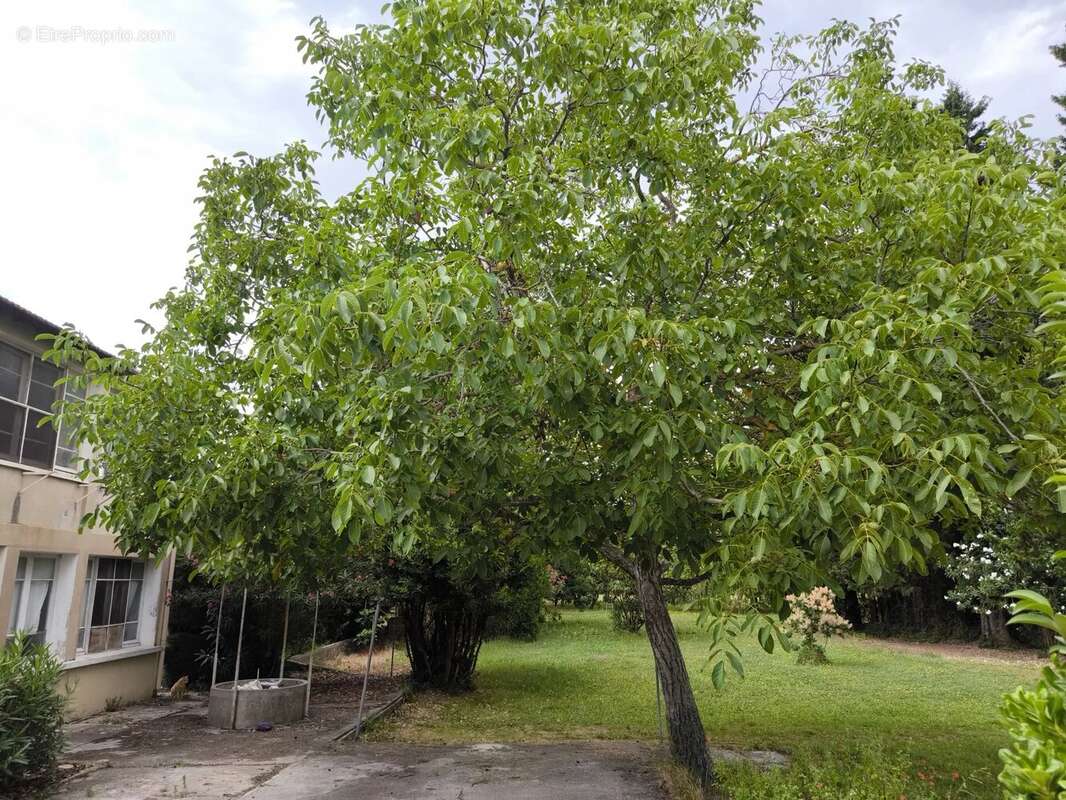 Maison à CARPENTRAS