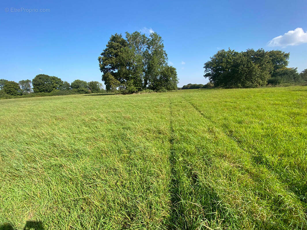 Maison à LONGNY-AU-PERCHE