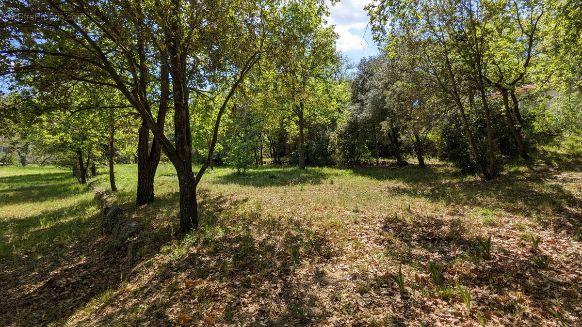 Terrain à VILLELONGUE-DELS-MONTS