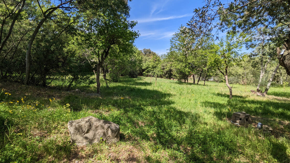 Terrain à VILLELONGUE-DELS-MONTS