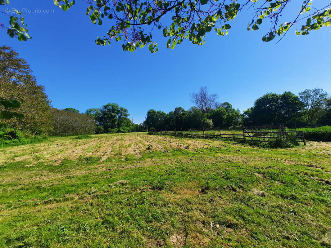 Maison à AIGREFEUILLE-D&#039;AUNIS