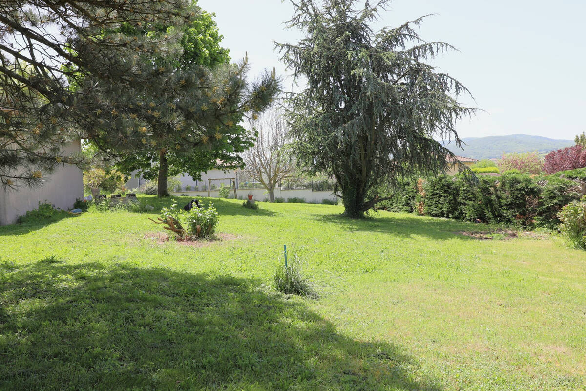 Terrain à LA TOUR-DE-SALVAGNY