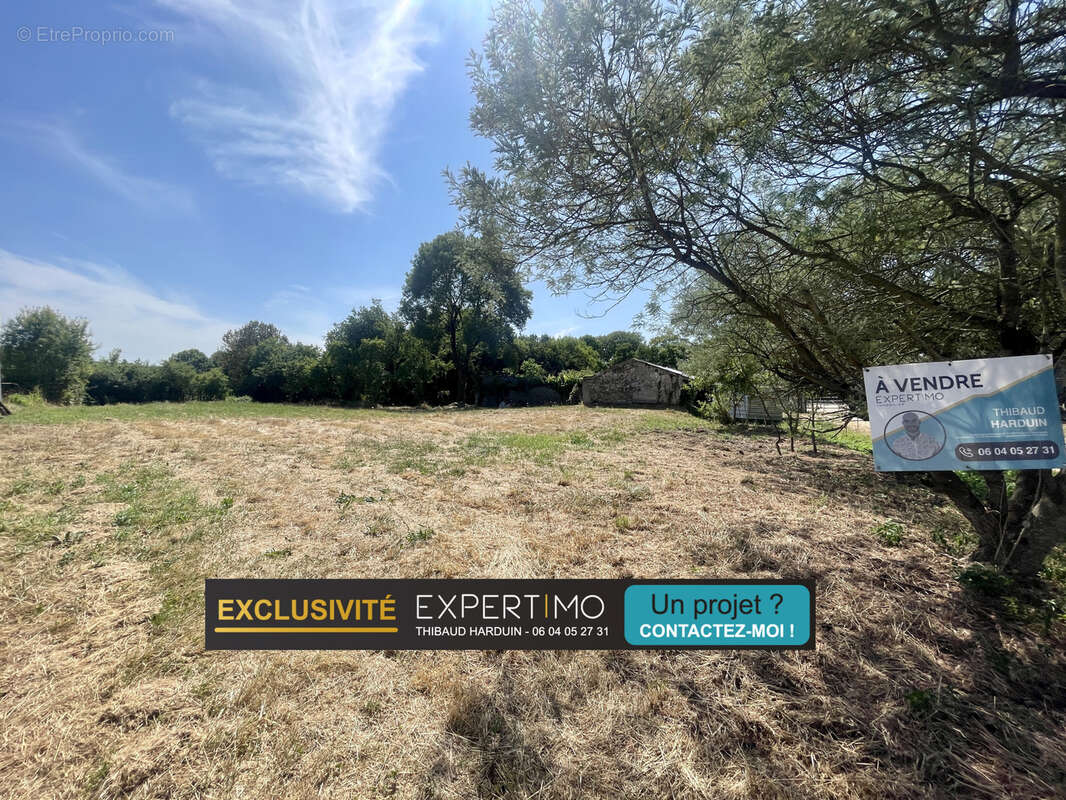 Terrain à SAINT-HILAIRE-DE-CHALEONS