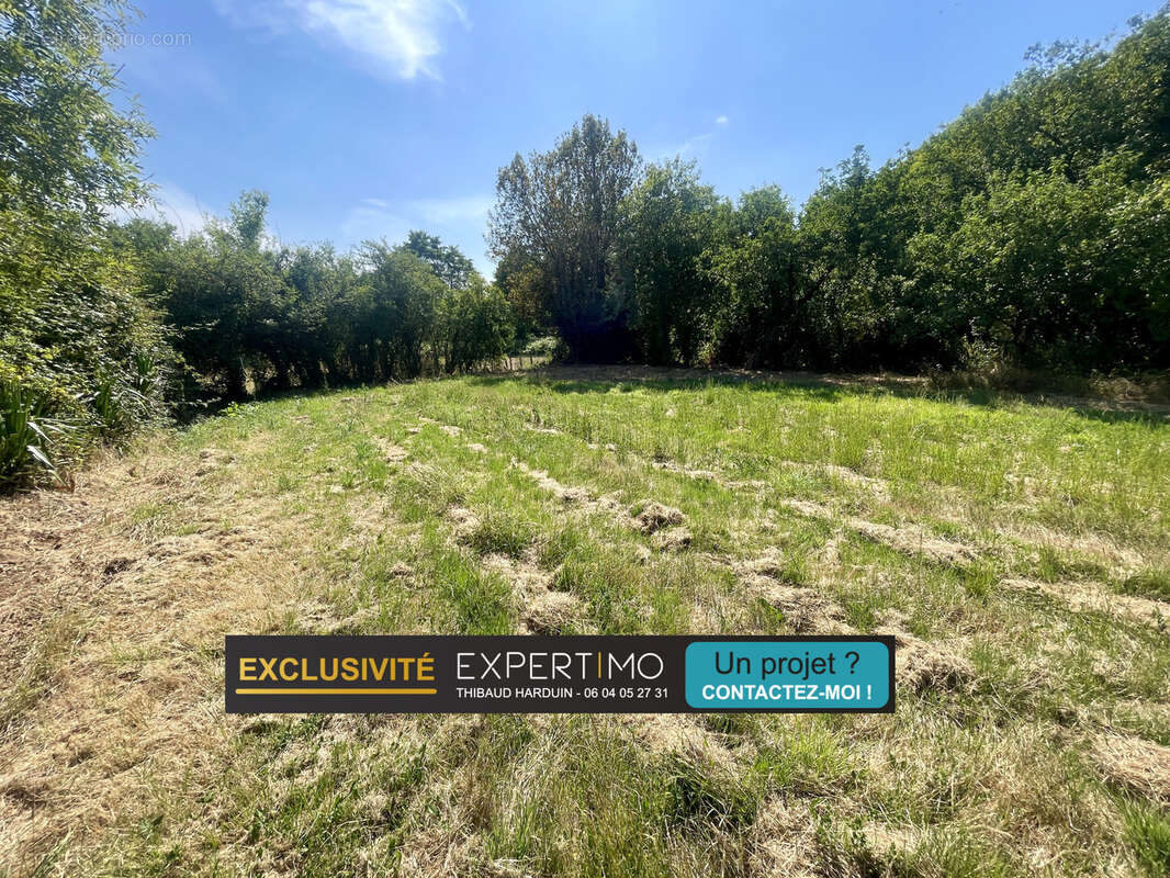 Terrain à SAINT-HILAIRE-DE-CHALEONS