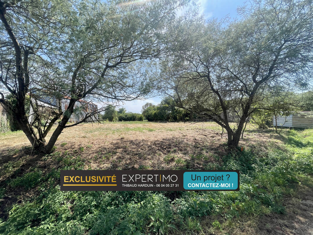 Terrain à SAINT-HILAIRE-DE-CHALEONS