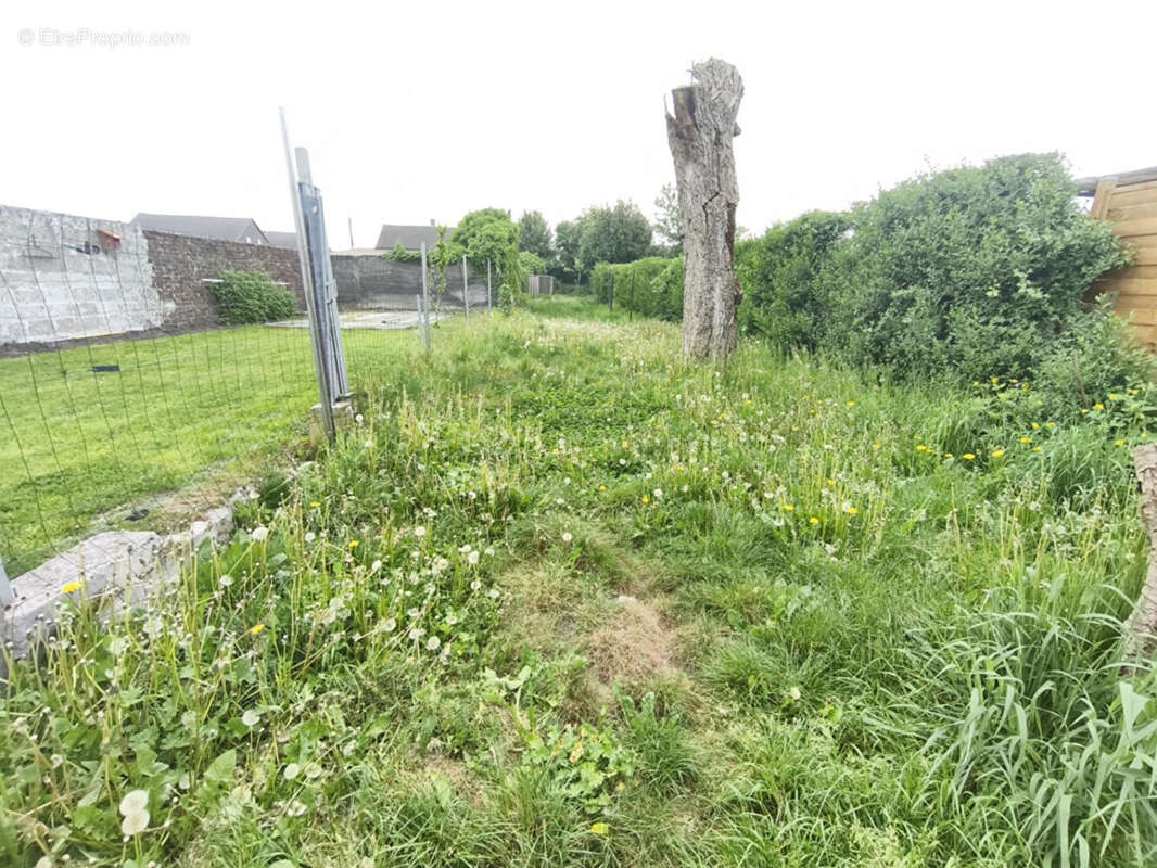 Maison à BRUAY-SUR-L&#039;ESCAUT
