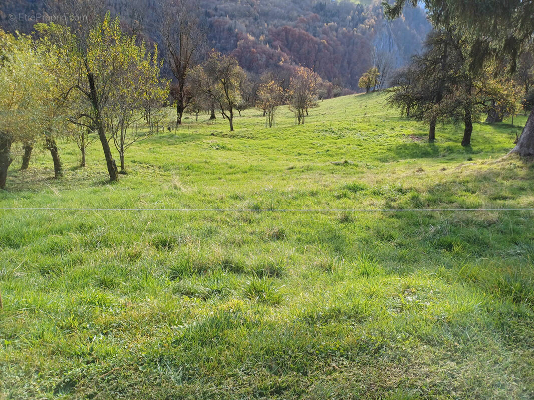 Terrain à SAINT-FRANCOIS-LONGCHAMP