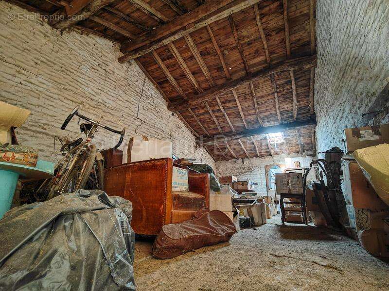 Commerce à SAUZE-VAUSSAIS