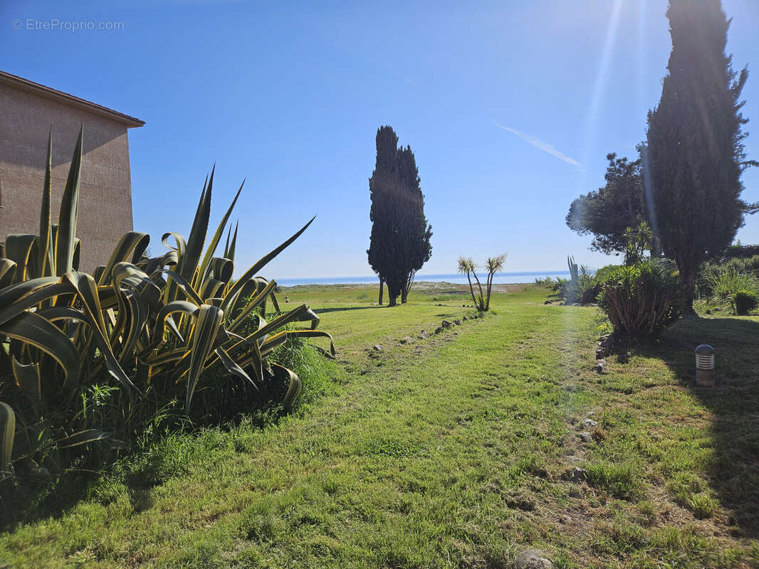 Appartement à SAN-NICOLAO