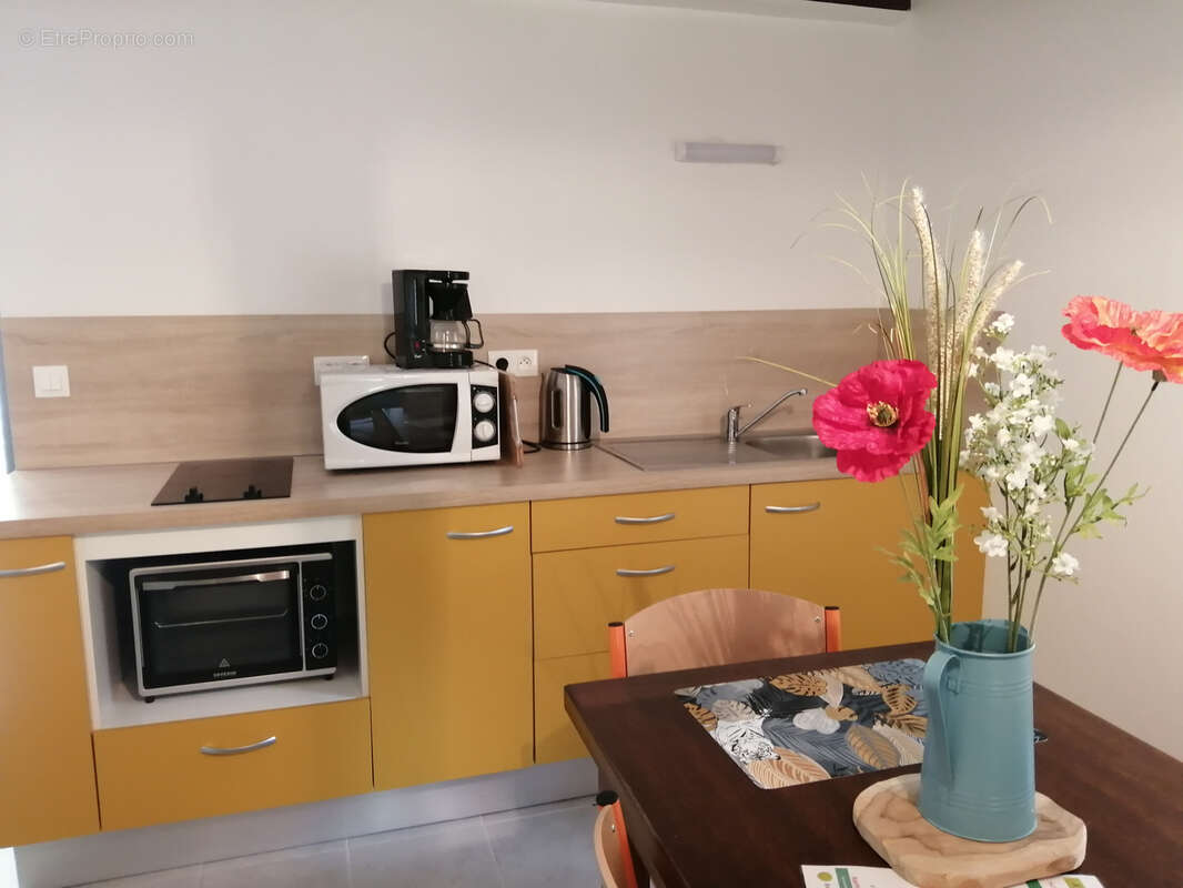 Maison à SAINT-SAUVEUR-DE-MONTAGUT