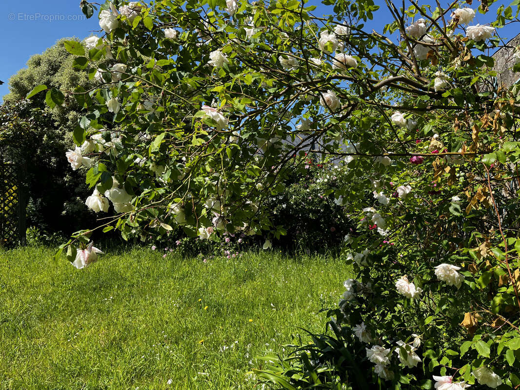 Maison à SAINT-MALO