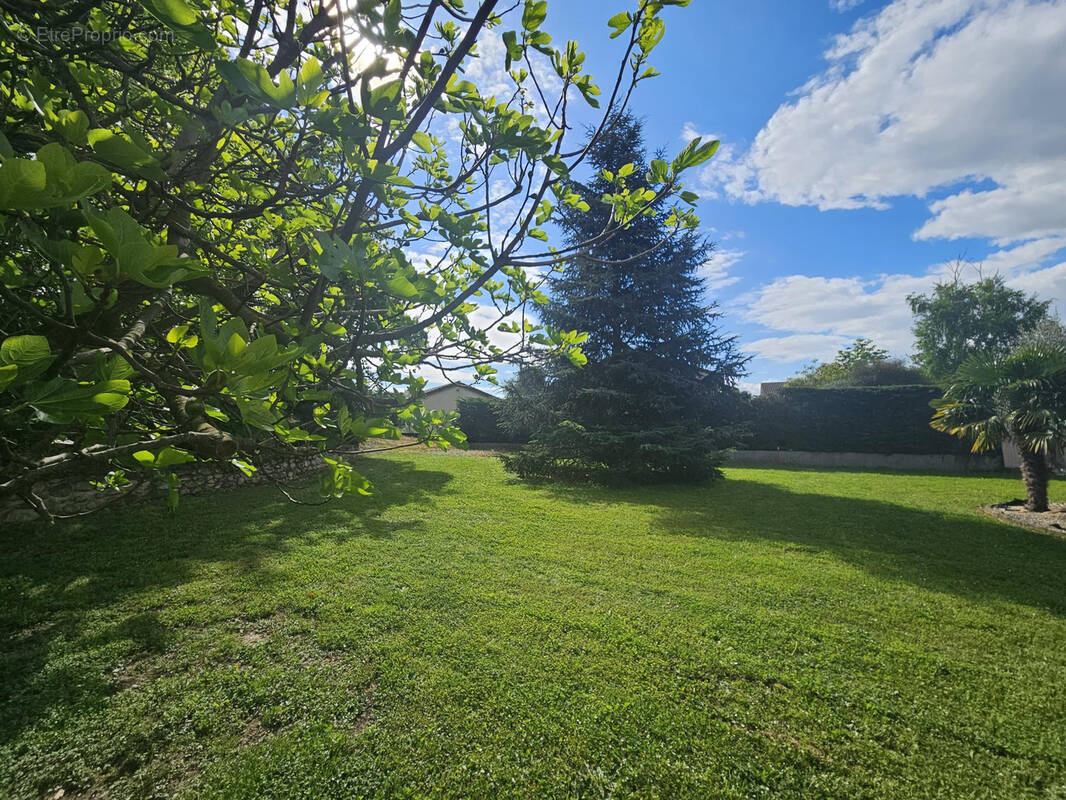 Terrain à SAINT-MAURICE-L&#039;EXIL
