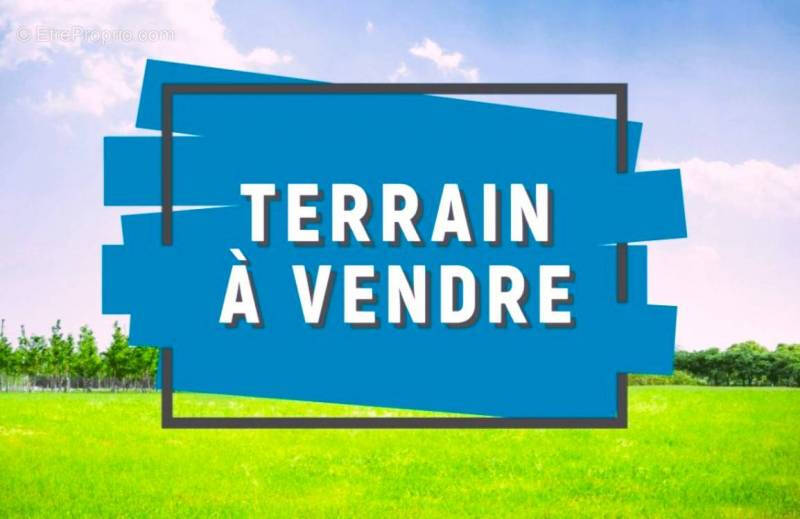 Terrain à SAINT-LAURENT-D&#039;ARCE