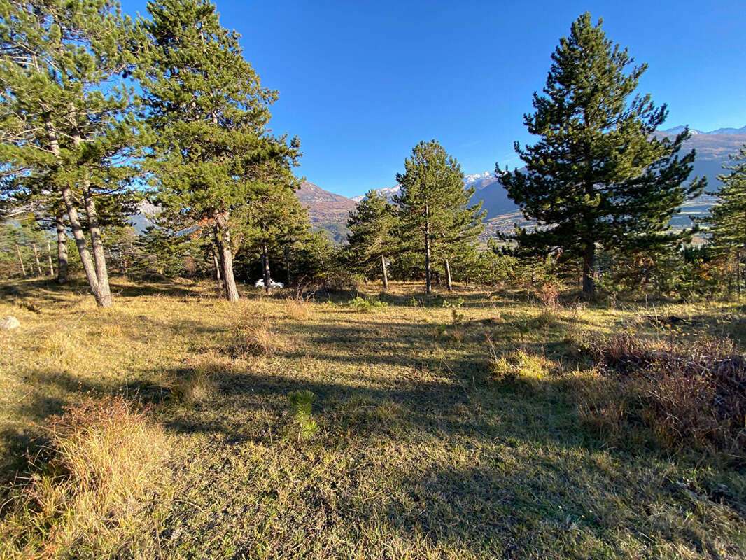 Photo 5 - Terrain à EMBRUN