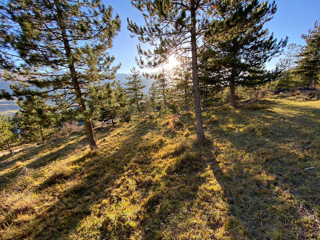 Photo 6 - Terrain à EMBRUN