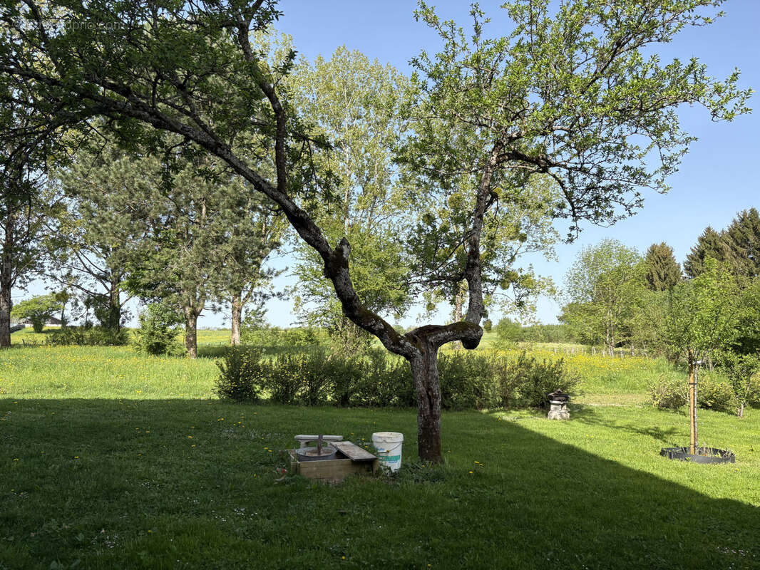 Maison à VERCEL-VILLEDIEU-LE-CAMP