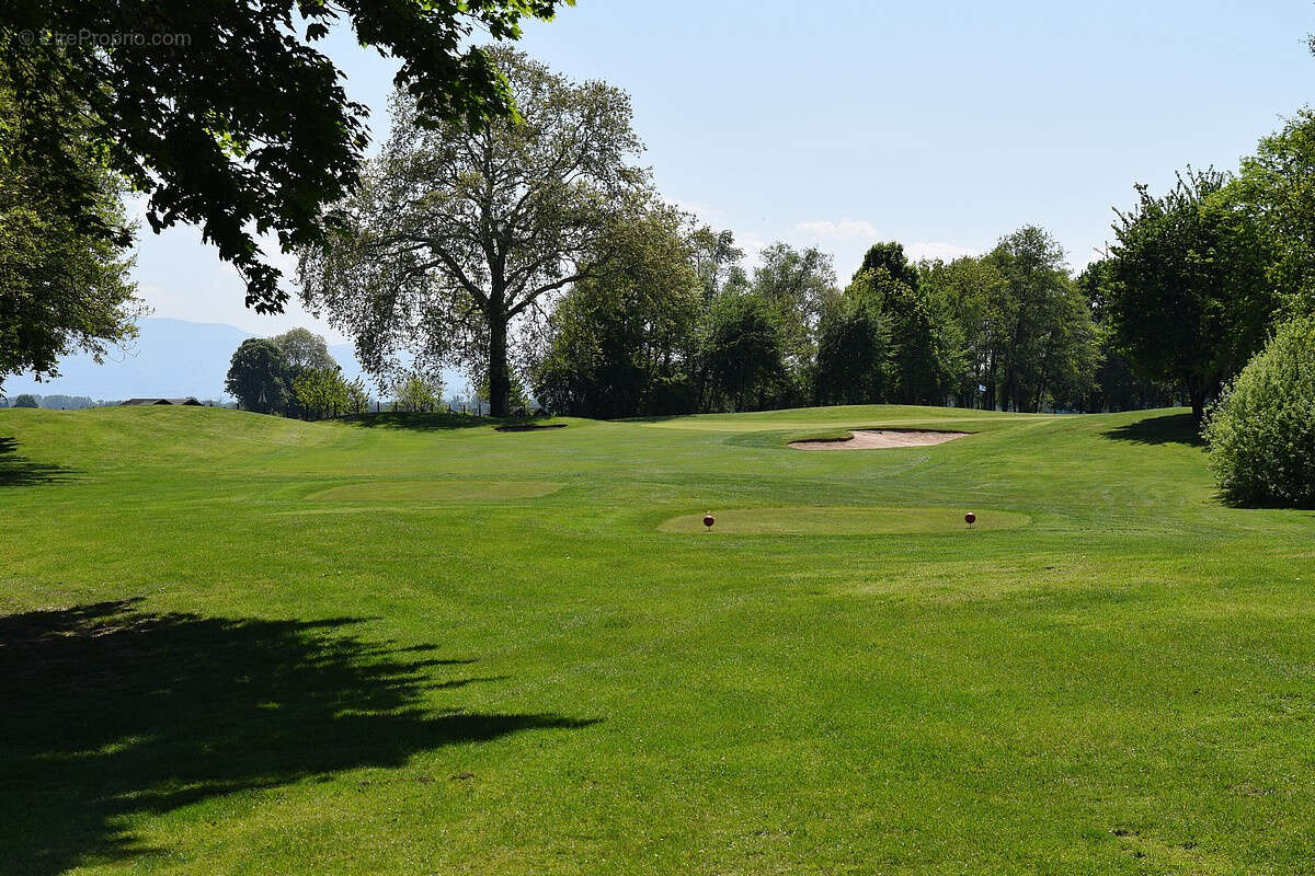 Appartement à SOUFFLENHEIM